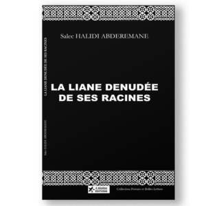 Sorti du Ziarane, ce lieu d’où viennent et vivent les esprits-djinns évoqués dans le Coran et dans les contes narrés sur l’île d’Anjouan, cette saga poétique parle des complexités identitaires et des difficultés de rêver ensemble, de créer ensemble, de vivre ensemble dans ces bouts de terre “perdus” dans l’Océan Indien.